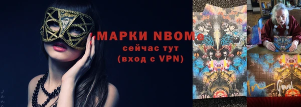 хмурый Аркадак