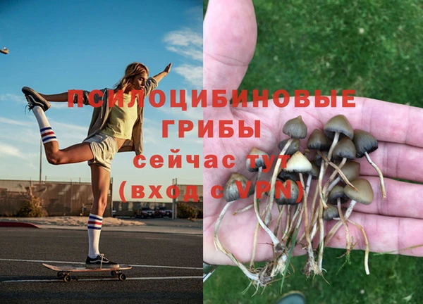 эйфоретик Арсеньев