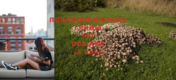 эйфоретик Арсеньев
