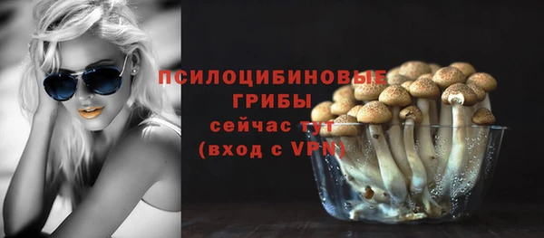 2c-b Армянск