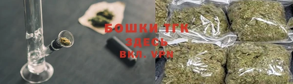 хмурый Аркадак