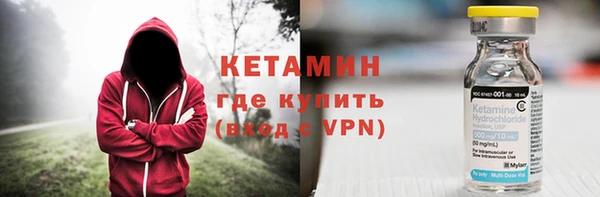 хмурый Аркадак