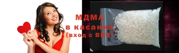 хмурый Аркадак