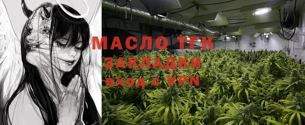 хмурый Аркадак