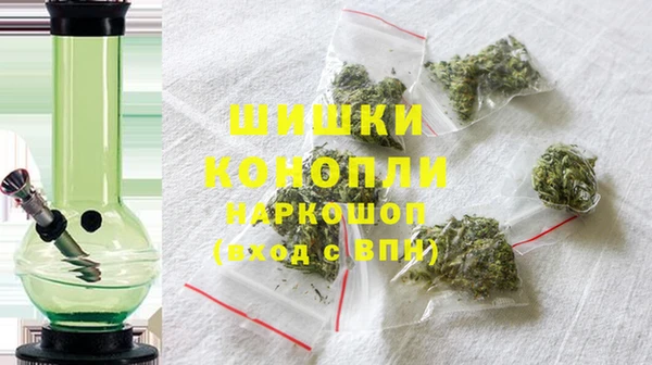 хмурый Аркадак