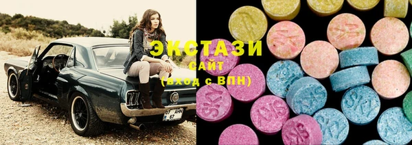 хмурый Аркадак