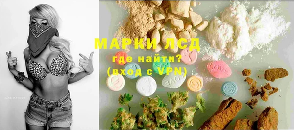 эйфоретик Арсеньев