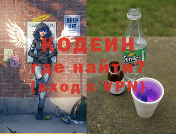 хмурый Аркадак