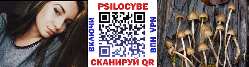 сколько стоит  Рыбинск  МЕГА tor  Галлюциногенные грибы Psilocybine cubensis 